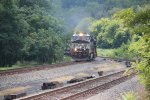 NS 7717 leading a container train